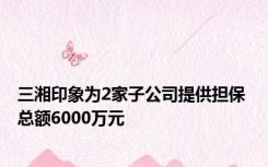 三湘印象为2家子公司提供担保 总额6000万元