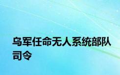 乌军任命无人系统部队司令