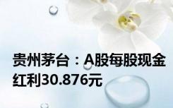 贵州茅台：A股每股现金红利30.876元