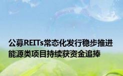 公募REITs常态化发行稳步推进 能源类项目持续获资金追捧