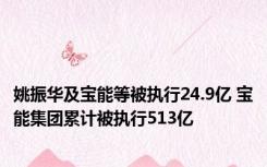 姚振华及宝能等被执行24.9亿 宝能集团累计被执行513亿