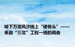 啃下万里风沙线上“硬骨头”——来自“三北”工程一线的调查