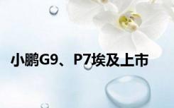 小鹏G9、P7埃及上市