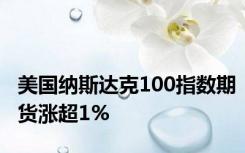 美国纳斯达克100指数期货涨超1%