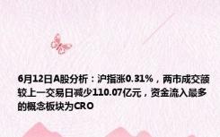 6月12日A股分析：沪指涨0.31%，两市成交额较上一交易日减少110.07亿元，资金流入最多的概念板块为CRO