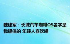 魏建军：长城汽车咖啡OS名字是我提倡的 年轻人喜欢喝