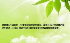 财联社6月12日电，甘肃省政府原党组成员、副省长杨子兴涉嫌严重违纪违法，目前正接受中央纪委国家监委纪律审查和监察调查。