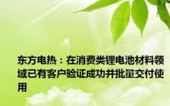 东方电热：在消费类锂电池材料领域已有客户验证成功并批量交付使用