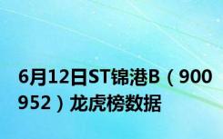 6月12日ST锦港B（900952）龙虎榜数据