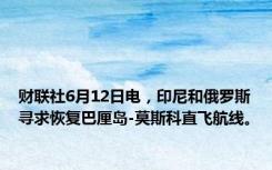 财联社6月12日电，印尼和俄罗斯寻求恢复巴厘岛-莫斯科直飞航线。