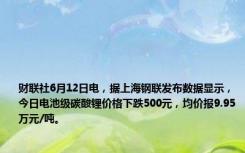 财联社6月12日电，据上海钢联发布数据显示，今日电池级碳酸锂价格下跌500元，均价报9.95万元/吨。