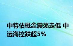 中特估概念震荡走低 中远海控跌超5%