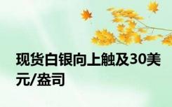 现货白银向上触及30美元/盎司