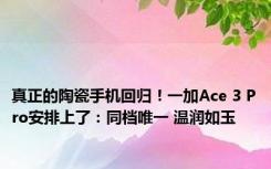 真正的陶瓷手机回归！一加Ace 3 Pro安排上了：同档唯一 温润如玉