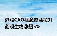 港股CXO概念震荡拉升 药明生物涨超5%