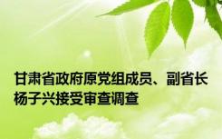 甘肃省政府原党组成员、副省长杨子兴接受审查调查