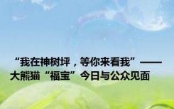 “我在神树坪，等你来看我”——大熊猫“福宝”今日与公众见面