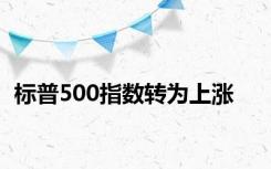 标普500指数转为上涨