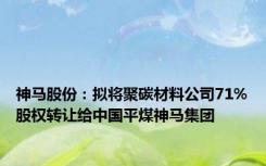 神马股份：拟将聚碳材料公司71%股权转让给中国平煤神马集团