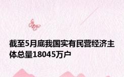 截至5月底我国实有民营经济主体总量18045万户