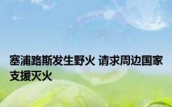 塞浦路斯发生野火 请求周边国家支援灭火