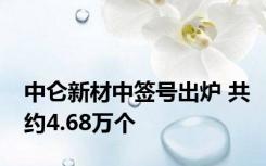 中仑新材中签号出炉 共约4.68万个