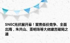 SNEC光伏展开幕！聚焦低价竞争、全面出海，朱共山、董明珠等大佬建言破局之道