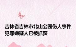 吉林省吉林市北山公园伤人事件犯罪嫌疑人已被抓获