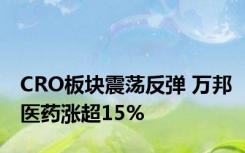 CRO板块震荡反弹 万邦医药涨超15%