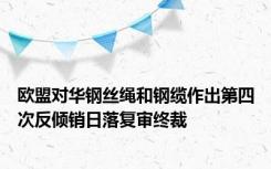 欧盟对华钢丝绳和钢缆作出第四次反倾销日落复审终裁