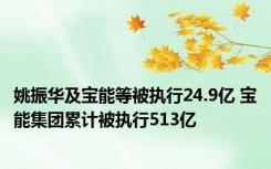 姚振华及宝能等被执行24.9亿 宝能集团累计被执行513亿