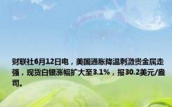 财联社6月12日电，美国通胀降温刺激贵金属走强，现货白银涨幅扩大至3.1%，报30.2美元/盎司。