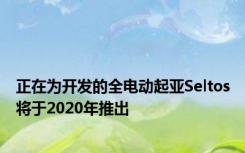 正在为开发的全电动起亚Seltos将于2020年推出