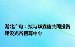 湖北广电：拟与华鑫信共同投资建设光谷智算中心