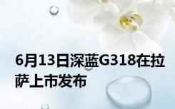 6月13日深蓝G318在拉萨上市发布