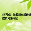 ST元成：控股股东股份被司法冻结及司法标记