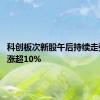 科创板次新股午后持续走强 多股涨超10%