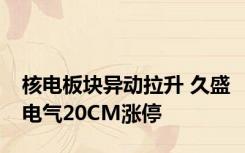 核电板块异动拉升 久盛电气20CM涨停