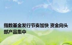 指数基金发行节奏加快 资金向头部产品集中