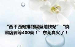 “西平西站排到隔壁地铁站”“烧鹅店要等400桌！”东莞真火了！