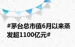 #茅台总市值6月以来蒸发超1100亿元#