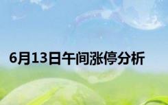 6月13日午间涨停分析