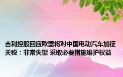 吉利控股回应欧盟将对中国电动汽车加征关税：非常失望 采取必要措施维护权益