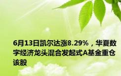 6月13日凯尔达涨8.29%，华夏数字经济龙头混合发起式A基金重仓该股