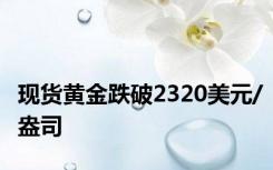 现货黄金跌破2320美元/盎司