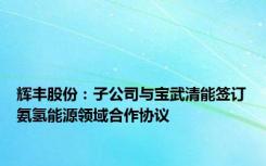 辉丰股份：子公司与宝武清能签订氨氢能源领域合作协议