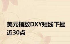 美元指数DXY短线下挫近30点