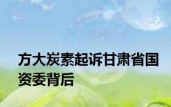 方大炭素起诉甘肃省国资委背后