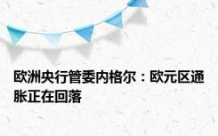 欧洲央行管委内格尔：欧元区通胀正在回落