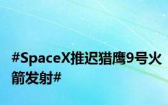 #SpaceX推迟猎鹰9号火箭发射#